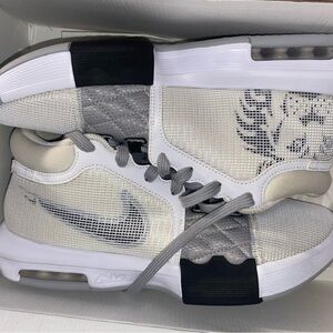 Nike Lebron Witness VIII White and Gray Shoes